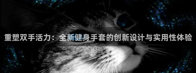 意昂2招商