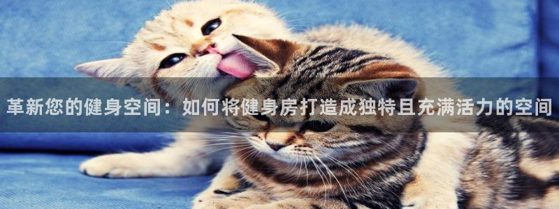 意昂2官方平台