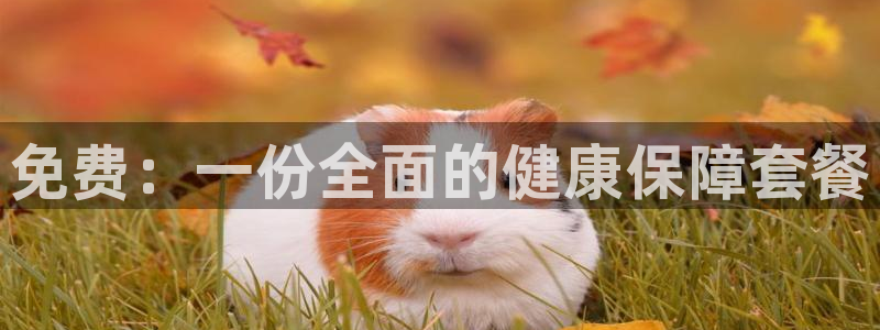 意昂2招商