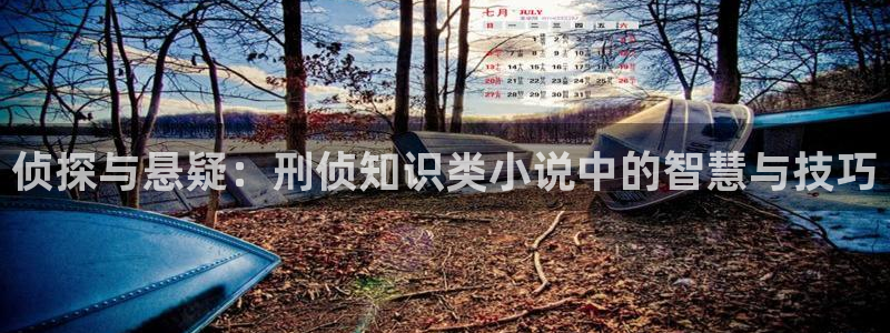第一版主小说网爱网站