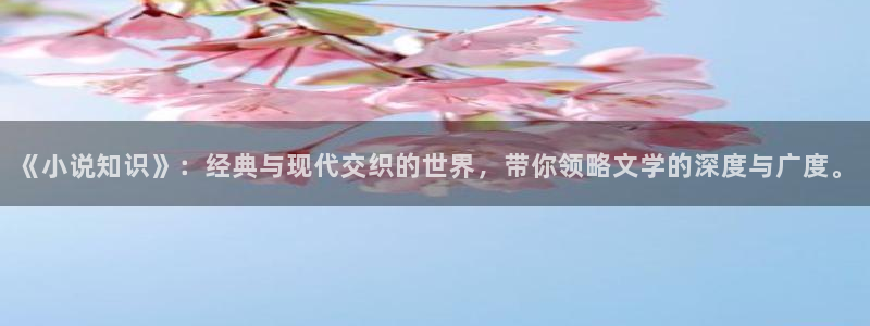 第一版主手机网：《小说知识》：经典与现代交织的世界，带你领略文学的深度与广度。