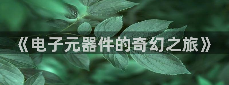 第一版主小说 合集