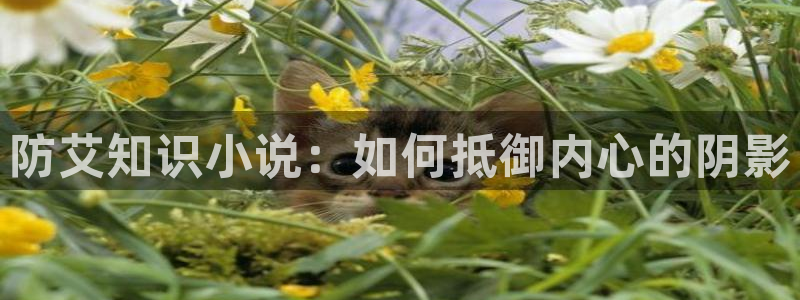 那人那山那情 第一版主小说