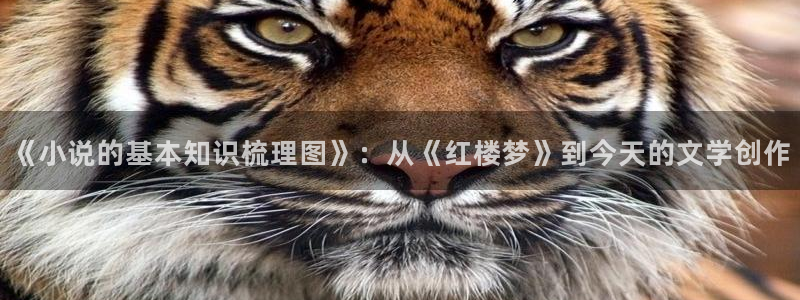 第一版主小说阅读网在线阅读