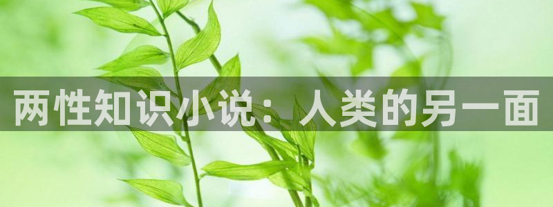 第一版主韵母攻略小说