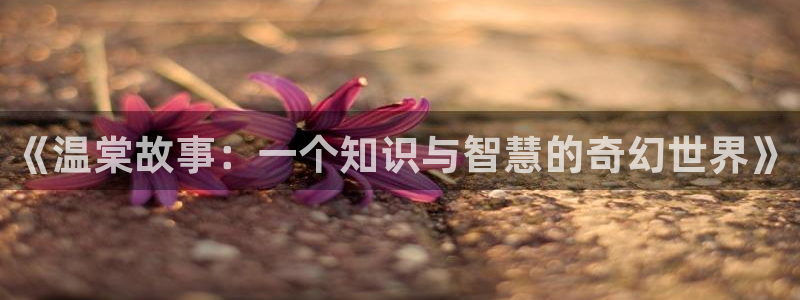diyibanzhu第一版主小说网